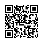 VG95234DH24-2 QRCode