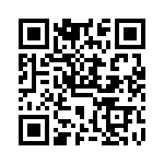 VG95234DH36-1 QRCode