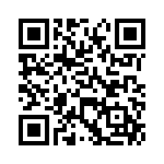 VG95234G2821SY QRCode