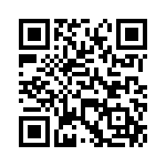 VG95234H2811PN QRCode