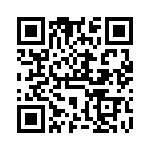 VG95234KK12 QRCode