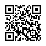 VG95234KR10SL QRCode