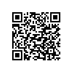 VG95234L-28-22P1N QRCode