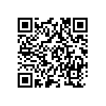 VG95234M-22-2P1Y QRCode