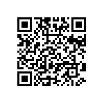 VG95234M-22-2P1Z QRCode