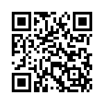 VG95234M363PW QRCode