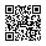 VG95234M366P1N QRCode