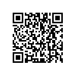 VG95234N1-20A48SY QRCode