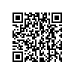 VG95234N1-22-2S1N QRCode