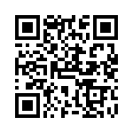 VG95234P10 QRCode