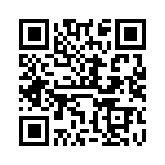 VI-22V-IX-B1 QRCode