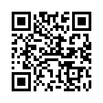 VI-232-IV-B1 QRCode