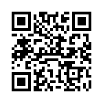 VI-241-IV-B1 QRCode