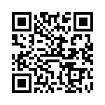 VI-24V-IV-B1 QRCode