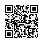 VI-2T1-IV-B1 QRCode