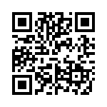 VI-2V3-IX QRCode