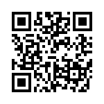 VI-B1P-EY-B1 QRCode