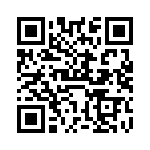 VI-B1R-EV-F3 QRCode