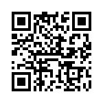 VI-B1T-IV-S QRCode