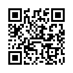 VI-B1T-IX QRCode