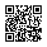 VI-B1V-IY-B1 QRCode