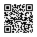 VI-B1Y-IV-F4 QRCode