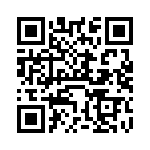 VI-B24-IX-F4 QRCode