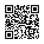VI-B33-IX-F4 QRCode