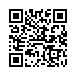 VI-B3K-IV-F1 QRCode