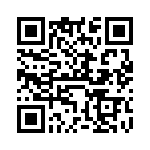 VI-B3T-CV-S QRCode