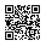 VI-B3X-IY-B1 QRCode