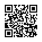 VI-B3Y-IY-B1 QRCode