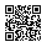 VI-B4B-IX-B1 QRCode