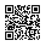VI-B4J-IV-B1 QRCode