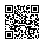 VI-B4P-IV-B1 QRCode