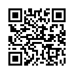 VI-B4V-IV-F4 QRCode
