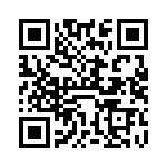 VI-B4X-IX-B1 QRCode