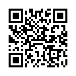 VI-B53-IX-F3 QRCode