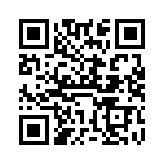 VI-B5Y-IV-B1 QRCode