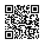 VI-B6D-IV-B1 QRCode