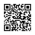 VI-BTJ-IV-B1 QRCode