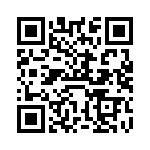 VI-BTP-IV-F4 QRCode