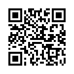 VI-BTZ-IV-B1 QRCode