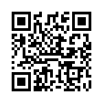 VI-BVL-IX QRCode