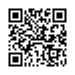 VI-J13-IY-B1 QRCode