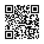 VI-J53-IX-B1 QRCode