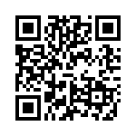 VI-JV4-CZ QRCode