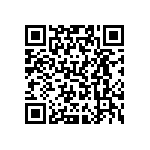 VJ0402D0R2DLAAC QRCode