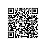 VJ0402D0R2DLCAC QRCode