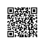 VJ0402D0R3DLAAC QRCode